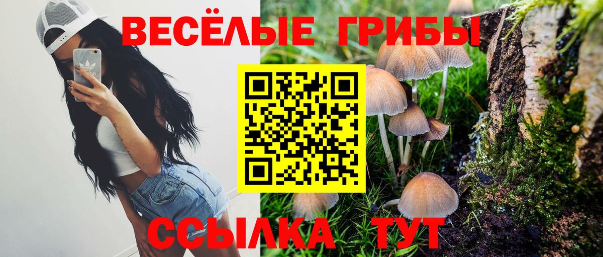 Псилоцибиновые грибы MAGIC MUSHROOMS Чернушка
