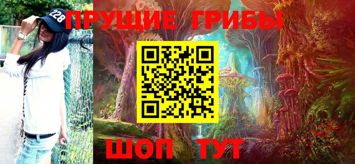 Чернушка  Галлюциногенные грибы Psilocybe  Галлюциногенные грибы MAGIC MUSHROOMS  Вход с VPN 